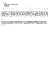 Lithuania's environment 4 puslapis