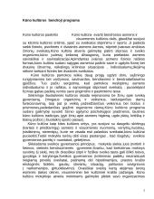 Kūno kultūros programos aprašas 2 puslapis