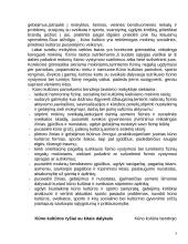 Kūno kultūros programos aprašas 3 puslapis