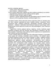 Kūno kultūros programos aprašas 4 puslapis