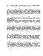 Kūno kultūros programos aprašas 5 puslapis