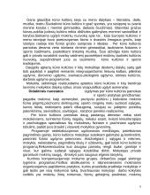 Kūno kultūros programos aprašas 6 puslapis