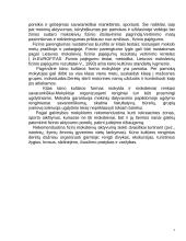 Kūno kultūros programos aprašas 7 puslapis