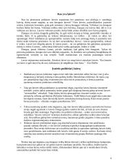 Asmuo ir laisvės sąvoka 4 puslapis