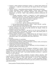 Priežasčių - pasekmių diagrama (Kaoru Ishikawa) 3 puslapis