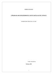 Verslo planas: didmeninė prekyba lietuvišku alumi UAB "Lietuvaičių alutis" 2 puslapis