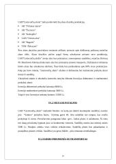 Verslo planas: didmeninė prekyba lietuvišku alumi UAB "Lietuvaičių alutis" 11 puslapis