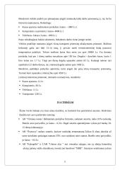 Verslo planas: didmeninė prekyba lietuvišku alumi UAB "Lietuvaičių alutis" 12 puslapis