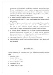 Verslo planas: didmeninė prekyba lietuvišku alumi UAB "Lietuvaičių alutis" 13 puslapis