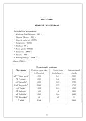 Verslo planas: didmeninė prekyba lietuvišku alumi UAB "Lietuvaičių alutis" 17 puslapis