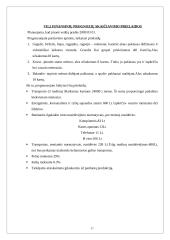 Verslo planas: didmeninė prekyba lietuvišku alumi UAB "Lietuvaičių alutis" 18 puslapis