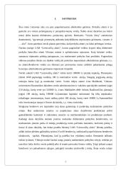 Verslo planas: didmeninė prekyba lietuvišku alumi UAB "Lietuvaičių alutis" 4 puslapis