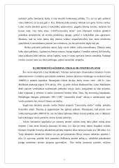 Verslo planas: didmeninė prekyba lietuvišku alumi UAB "Lietuvaičių alutis" 6 puslapis