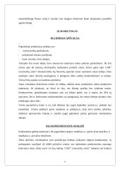 Verslo planas: didmeninė prekyba lietuvišku alumi UAB "Lietuvaičių alutis" 7 puslapis