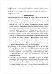 Verslo planas: didmeninė prekyba lietuvišku alumi UAB "Lietuvaičių alutis" 8 puslapis