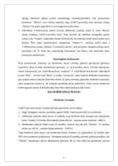 Verslo planas: didmeninė prekyba lietuvišku alumi UAB "Lietuvaičių alutis" 9 puslapis