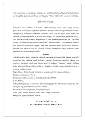 Verslo planas: didmeninė prekyba lietuvišku alumi UAB "Lietuvaičių alutis" 10 puslapis