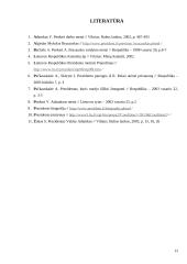 1993-2003 prezidentų funkcijos ir veikla 12 puslapis