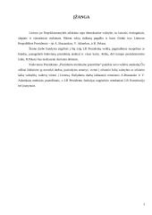 1993-2003 prezidentų funkcijos ir veikla 3 puslapis