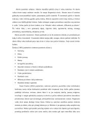 Abortas ir socialinis darbas su moterimis 13 puslapis