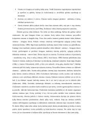 Abortas ir socialinis darbas su moterimis 20 puslapis