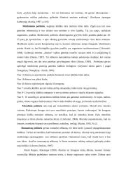 Abortas ir socialinis darbas su moterimis 6 puslapis