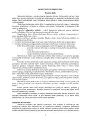 Adaptacijos procesas įmonėje: UAB "NB Europe" 3 puslapis