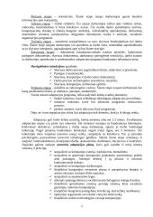 Adaptacijos procesas įmonėje: UAB "NB Europe" 5 puslapis