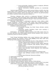 Adaptacijos procesas įmonėje: UAB "NB Europe" 6 puslapis