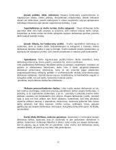 Adaptacijos programa naujiems darbuotojams įmonėje 12 puslapis