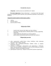 Adaptacijos programa naujiems darbuotojams įmonėje 4 puslapis