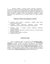 Adaptacijos programa naujiems darbuotojams įmonėje 6 puslapis