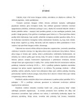 Administracinės veiklos valdymo teorija ir jos atstovai 2 puslapis