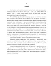 Administracinės veiklos valdymo teorija ir jos atstovai 13 puslapis