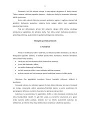 Administracinių-tvarkomųjų poveikio priemonių įtaka darbo efektyvumui 5 puslapis