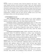 Akcijų ir obligacijų sistema Lietuvoje 5 puslapis