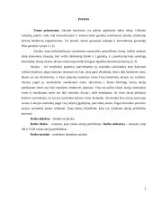 Akcijų perleidimas 2 puslapis