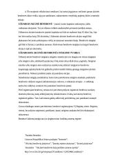 Akcinė bendrovė ir uždaroji akcinė bendrovė 16 puslapis