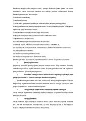 Akcinė bendrovė ir uždaroji akcinė bendrovė 4 puslapis