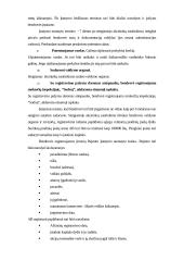 Akcinė bendrovė ir uždaroji akcinė bendrovė 6 puslapis