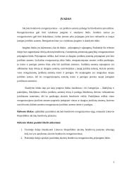 Akcinių bendrovių reorganizavimas 2 puslapis