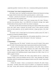 Akcinių bendrovių reorganizavimas 8 puslapis