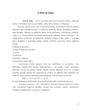 Aktyvų rinka ir jų ryšys su pinigais 5 puslapis