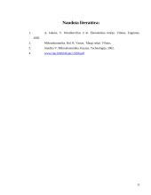 Aktyvų rinka ir jų ryšys su pinigais 10 puslapis