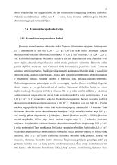 Akumuliatorius 12 puslapis