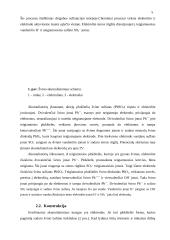 Akumuliatorius 5 puslapis