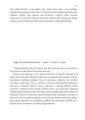 Akumuliatorius 6 puslapis