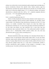 Akumuliatorius 10 puslapis