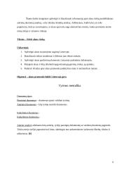 Alaus rinkos tyrimas. Antrinių duomenų analizė 4 puslapis