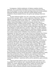 Albertas Einšteinas 2 puslapis